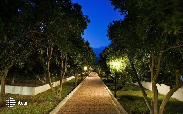 Larissa Park 58