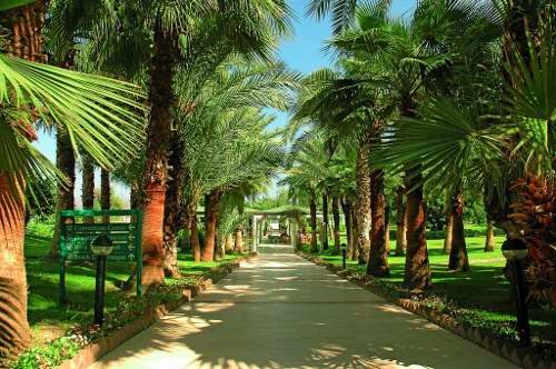 Mirage Park Resort 10