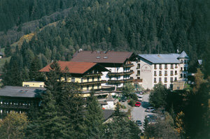 Baerenhof Hotel 18