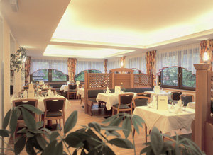 Baerenhof Hotel 19