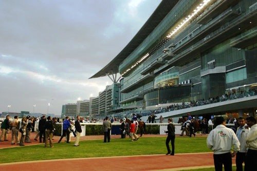 The Meydan 31