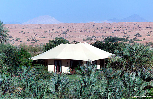 Al Maha, A Luxury Collection Desert Resort & Spa 11
