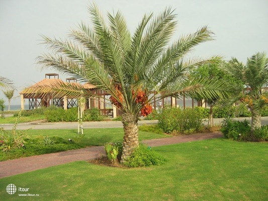 Umm Al Quwain Beach 4