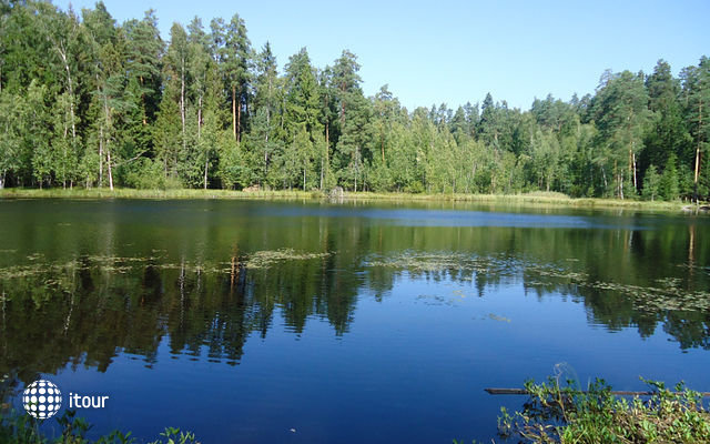 Forest Lake 1