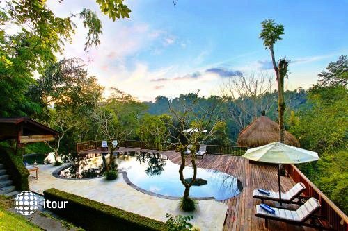 Nandini Bali Resort & Spa 6