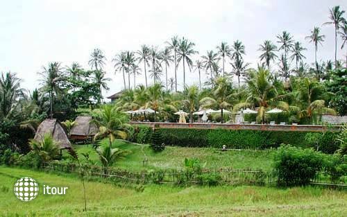 Gajah Mina Beach Resort 33