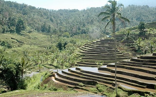 Bali Mountain Retreat 8