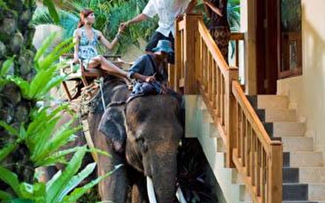 Elephant Safari Park Lodge 6
