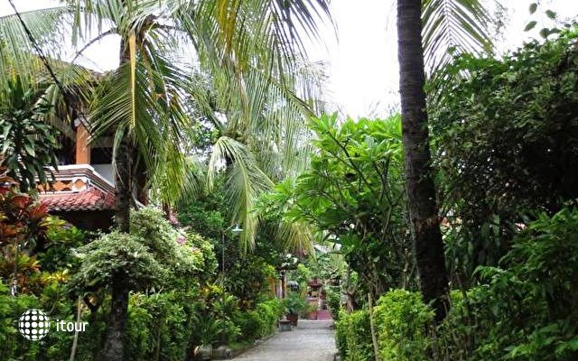 Paradise Palm Beach Bungalows 15