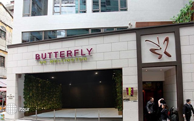 Butterfly On Wellington Boutique Hotel 2