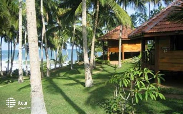 Palm Paradise Cabanas 8