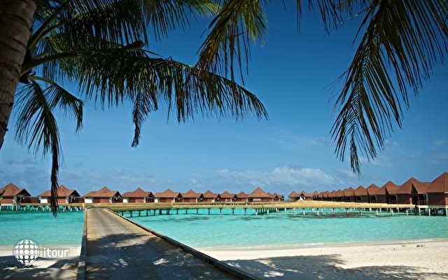 Robinson Club Maldives 16