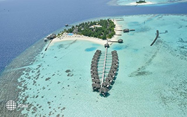 Maafushivaru Maldives 4