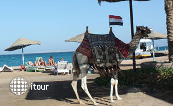 Hurghada Pharaoh Club Hotel  19