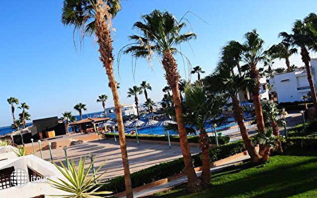 Al Mashrabiya Beach Resort 6