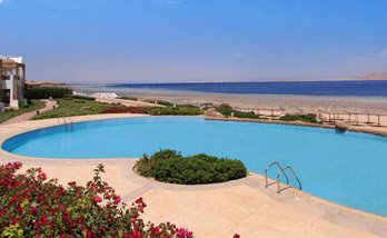 Albatros Palace Resort (ex.cyrene Grand Hotel, Eex. Melia Sharm) 5* 16