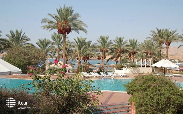 Dessole Seti Sharm 35