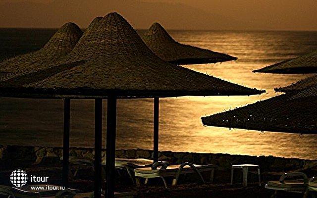 Mexicana Sharm Resort (ex. Creative Mexicana Sharm Resort)  11