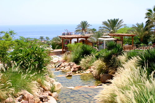 Safir Sharm Waterfalls Resort 16