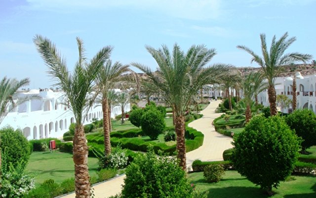 Royal Holiday Beach Resort (ex. Sonesta Beach Resort Sharm El Sheikh)  15