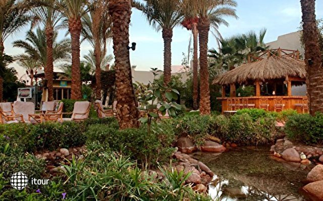 Hilton Fayrouz Resort 17