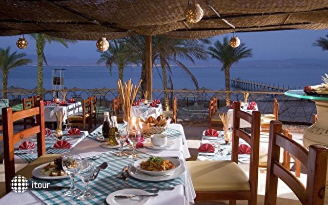 Club Marmara (ex. Morgana Beach Resort Taba) 7