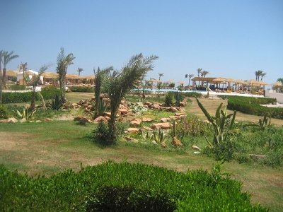 Badawia Resort 9