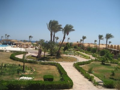 Badawia Resort 16