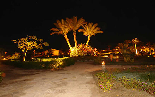 Badawia Resort 52