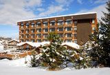 Alpes Hotel Du Pralong 43