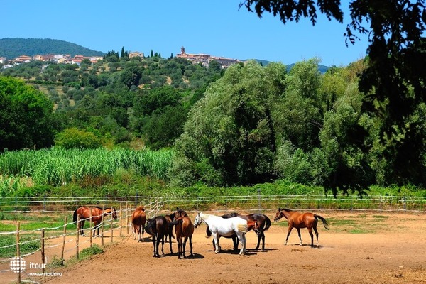 Agriturismo Montebelli 11