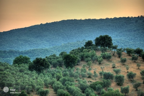 Agriturismo Montebelli 21