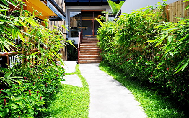 Bamboo House 6