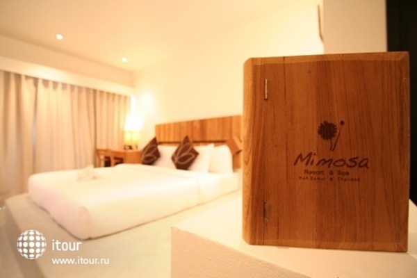 Mimosa Resort & Spa 20