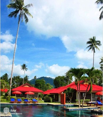 Viva Vacation Resort 25