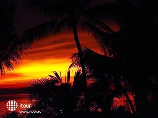 Sibaja Palms Sunset Beach Resort 8