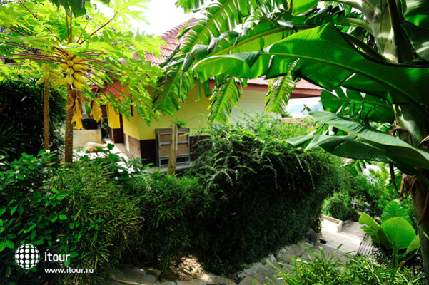 Phi Phi Arboreal Resort 16