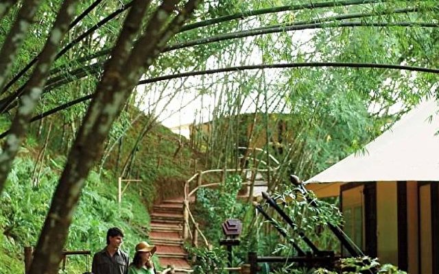 Four Seasons Tented Camp Golden Triangle 22