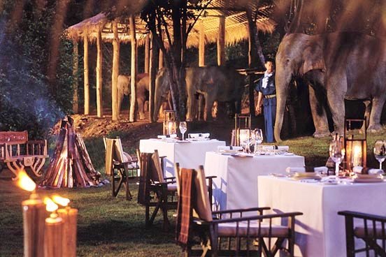 Four Seasons Tented Camp Golden Triangle 42