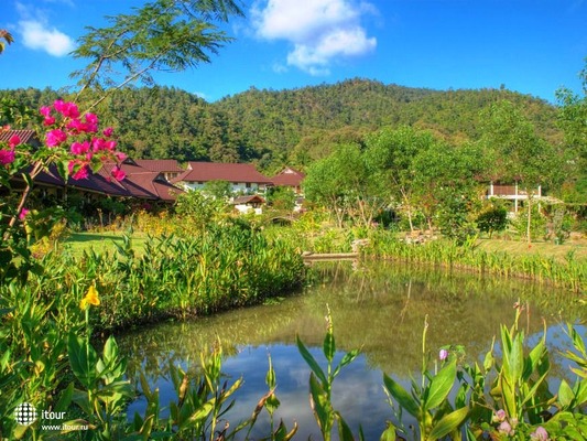 The Maekok River Village Resort 34