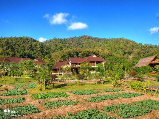 The Maekok River Village Resort 37