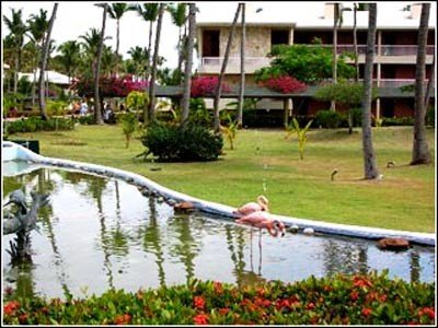 Sirenis Cocotal Beach Resort Casino & Spa 13