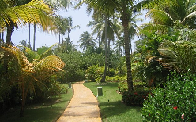 Melia Caribe Tropical Resort 4