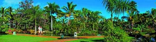 Melia Caribe Tropical Resort 36