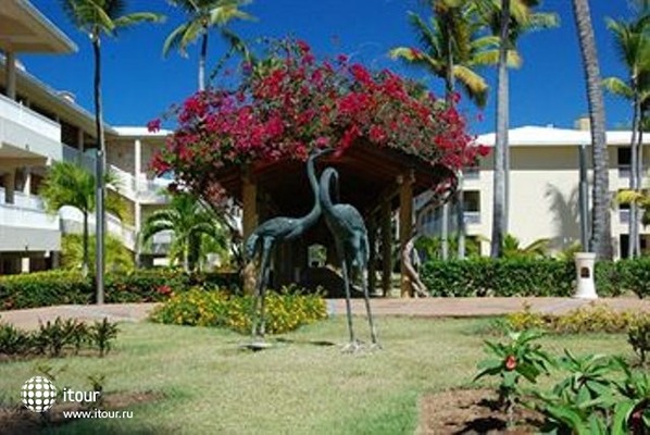 Sirenis Punta Cana Resort & Spa 29