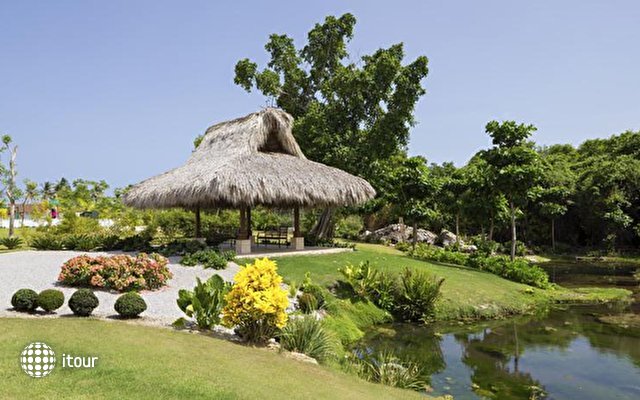 Westin Punta Cana Resort & Club 10
