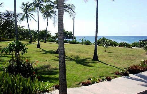 Tropical Dream Island Beach Resort 10