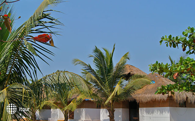 The Crib (ex. Pams Pirache Resort; Coco Resort) 1
