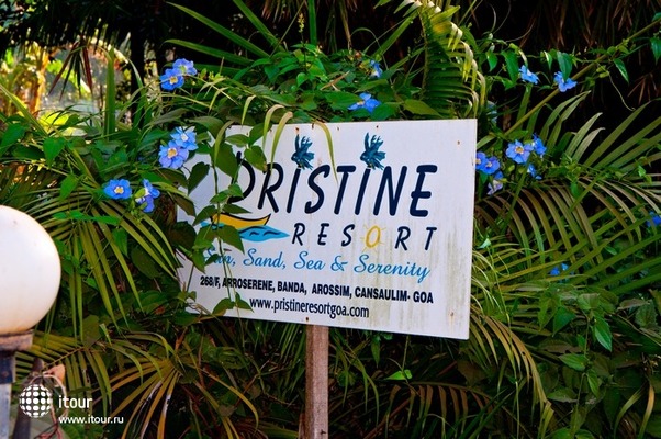 Pristine Resort 1