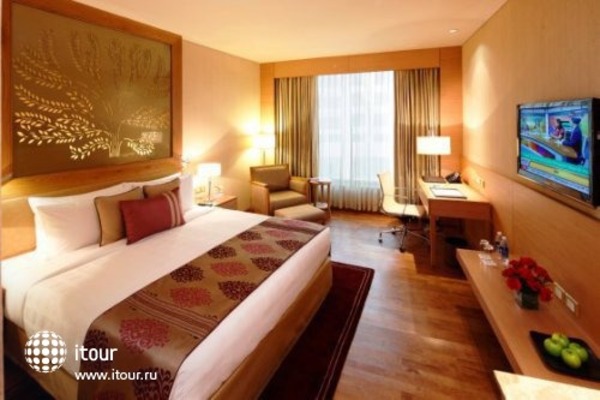 Radisson Blu Hotel New Delhi Dwarka 17